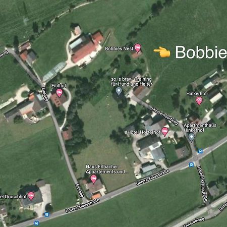 Bobbies Nest Villa Schladming Esterno foto