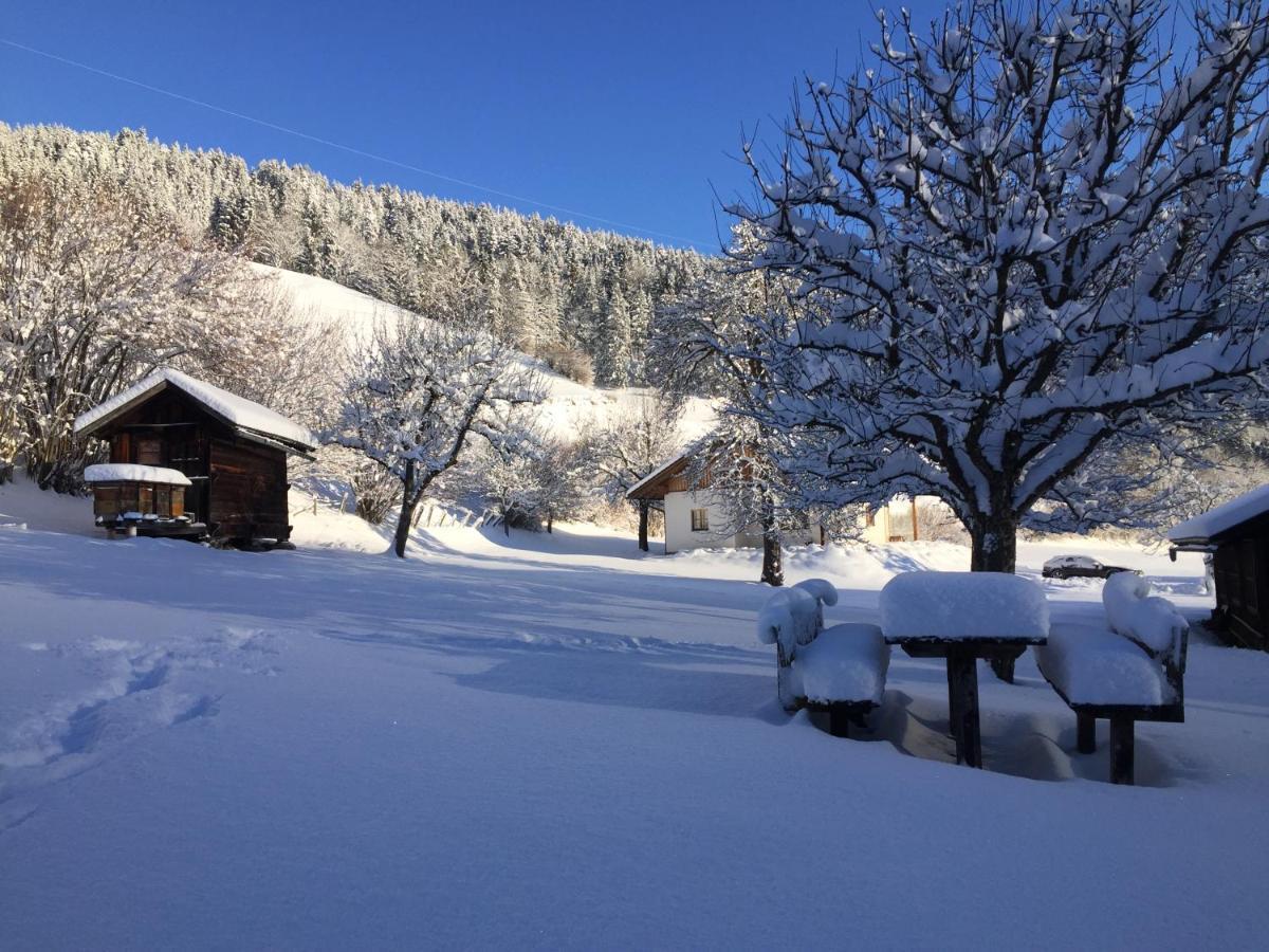 Bobbies Nest Villa Schladming Esterno foto