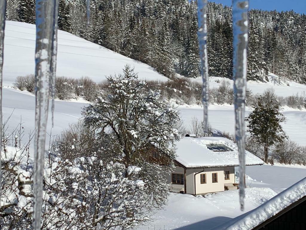 Bobbies Nest Villa Schladming Esterno foto