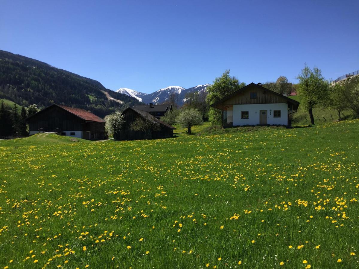 Bobbies Nest Villa Schladming Esterno foto