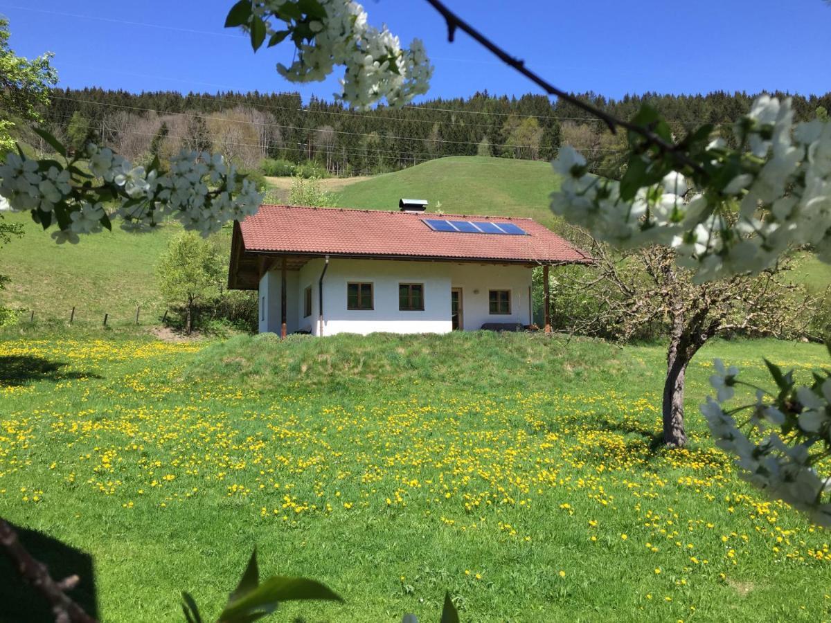 Bobbies Nest Villa Schladming Esterno foto